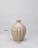 Beige glazed ceramic decorative pot with its dimensions marked