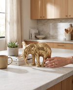 Wide-base gold elephant figure on a kitchen counter, a hand setting it down